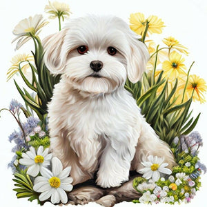 Bichon Frise 40*40CM(Canvas) Full Round Drill Diamond Painting