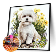 Load image into Gallery viewer, Bichon Frise 40*40CM(Canvas) Full Round Drill Diamond Painting
