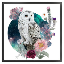Load image into Gallery viewer, Flowers Owl (40*40CM) 16CT 2 Stamped Cross Stitch
