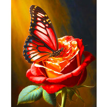 Load image into Gallery viewer, Butterfly And Rose 40*50CM(Canvas) Full Round Drill Diamond Painting
