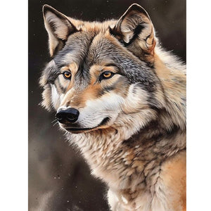 Wolf 30*40CM Full Round Drill Diamond Painting