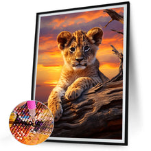 Load image into Gallery viewer, Tiger 30*40CM Full Round Drill Diamond Painting
