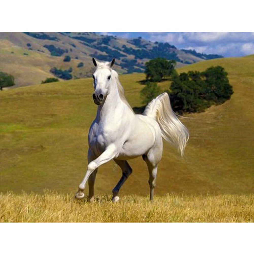 Horse 40*30CM Full Round Drill Diamond Painting