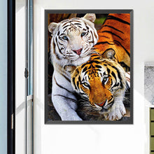 Load image into Gallery viewer, Tiger - Full Square Drill Diamond Painting 50*60CM
