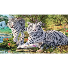 Load image into Gallery viewer, Park White Tiger 75X45CM(Canvas) Full AB Round Drill Diamond Painting
