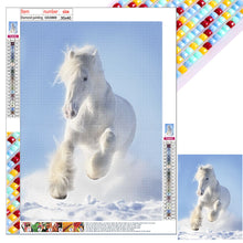 Load image into Gallery viewer, White Horse 30X40CM(Canvas) Full Square Drill Diamond Painting
