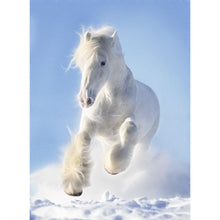Load image into Gallery viewer, White Horse 30X40CM(Canvas) Full Square Drill Diamond Painting
