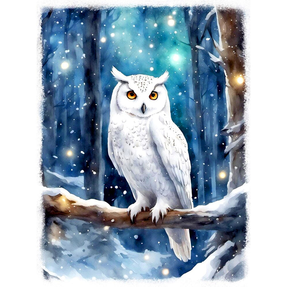 Owl 30X40CM(Canvas) Full Round Drill Diamond Painting