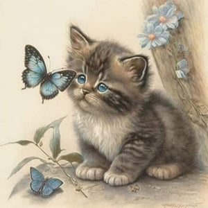 Kitten And Butterfly 30X30CM(Canvas) Full Round Drill Diamond Painting