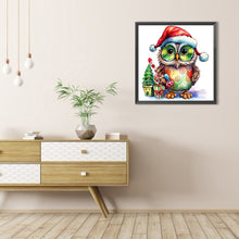 Load image into Gallery viewer, Christmas Owl 45X45CM(Canvas) Full AB Round Drill Diamond Painting
