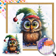 Load image into Gallery viewer, Christmas Owl 45X45CM(Canvas) Full AB Round Drill Diamond Painting
