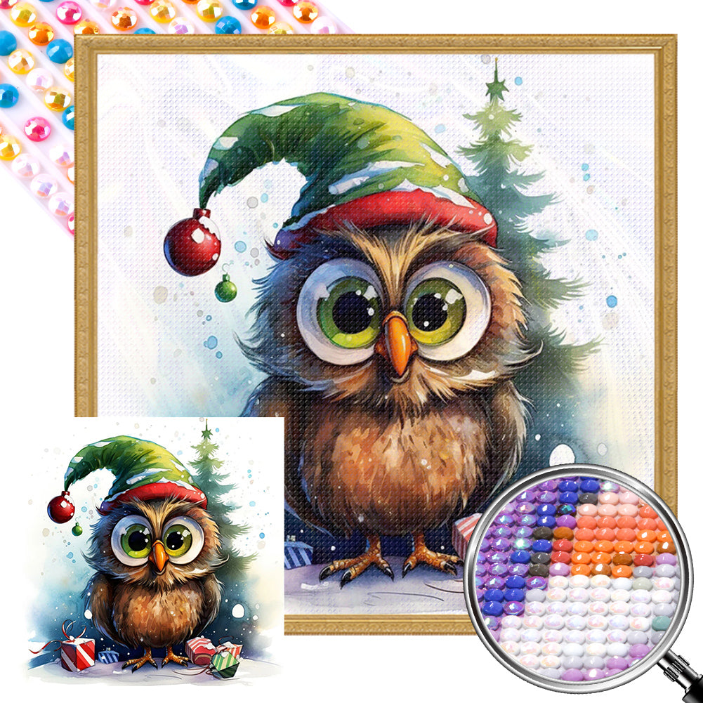 Christmas Owl 45X45CM(Canvas) Full AB Round Drill Diamond Painting