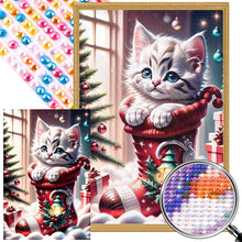 Load image into Gallery viewer, Christmas Stocking Cat 45X65CM(Canvas) Full AB Round Drill Diamond Painting
