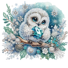 Load image into Gallery viewer, Winter Owl 30X30CM(Canvas) Partial Special Shaped Drill Diamond Painting
