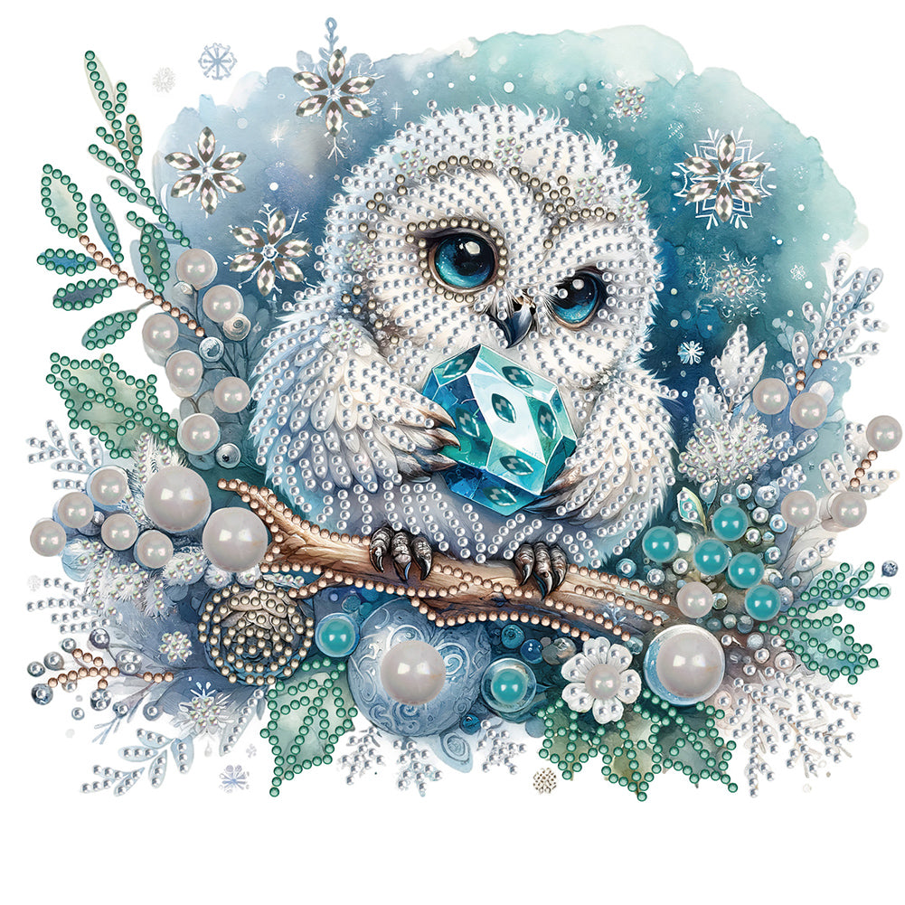 Winter Owl 30X30CM(Canvas) Partial Special Shaped Drill Diamond Painting