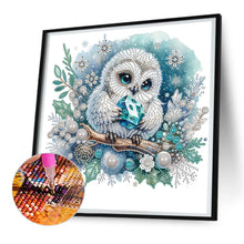 Load image into Gallery viewer, Winter Owl 30X30CM(Canvas) Partial Special Shaped Drill Diamond Painting
