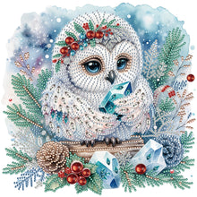 Load image into Gallery viewer, Winter Owl 30X30CM(Canvas) Partial Special Shaped Drill Diamond Painting
