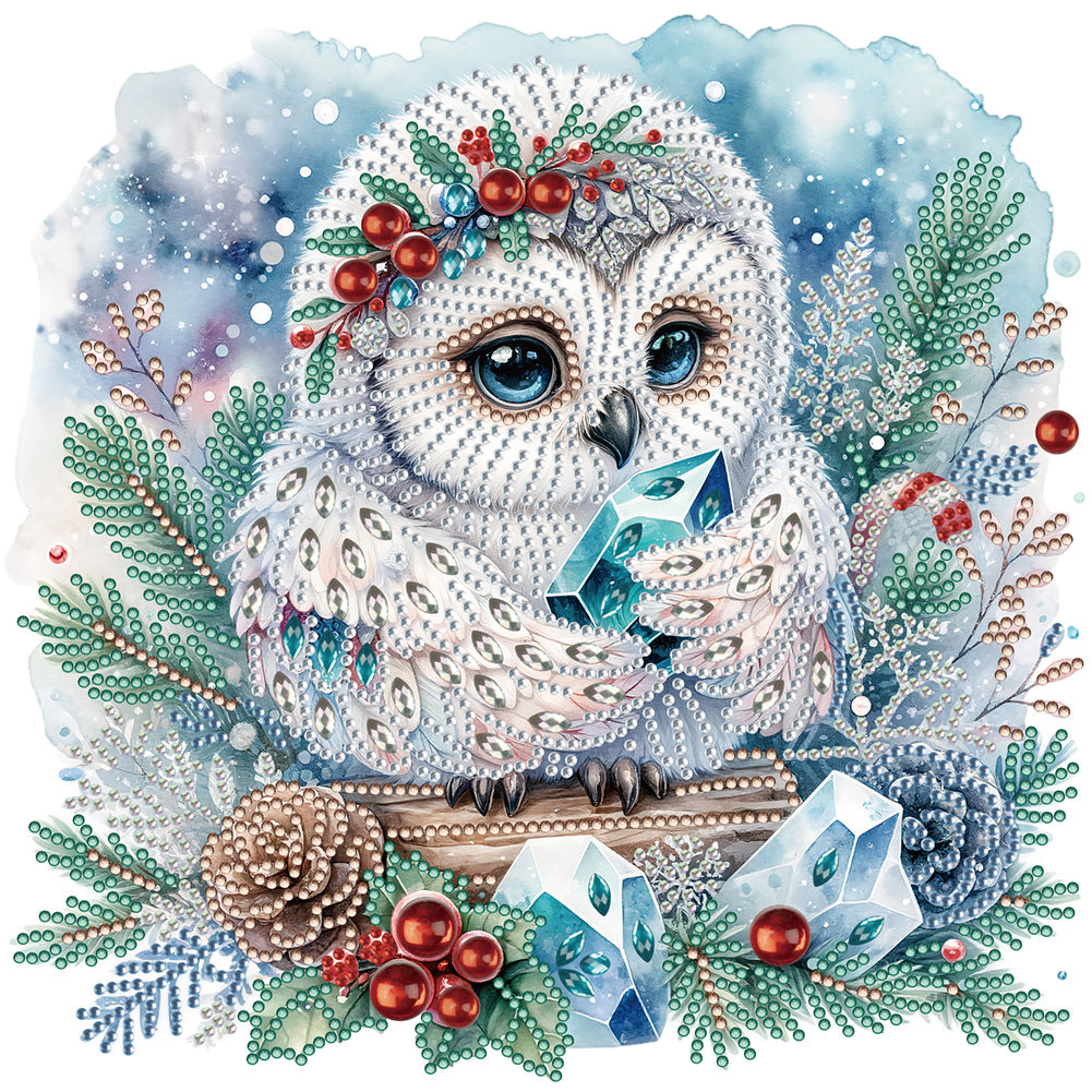 Winter Owl 30X30CM(Canvas) Partial Special Shaped Drill Diamond Painting