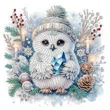 Load image into Gallery viewer, Winter Owl 30X30CM(Canvas) Partial Special Shaped Drill Diamond Painting
