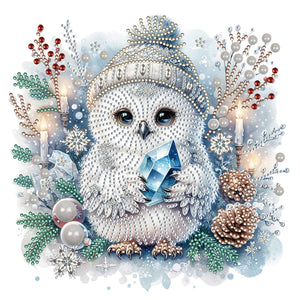 Winter Owl 30X30CM(Canvas) Partial Special Shaped Drill Diamond Painting