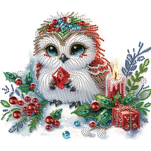 Winter Owl 30X30CM(Canvas) Partial Special Shaped Drill Diamond Painting