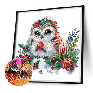 Winter Owl 30X30CM(Canvas) Partial Special Shaped Drill Diamond Painting