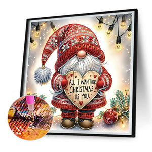 Christmas Gnome 30*30CM(Canvas) Partial Special Shaped Drill Diamond Painting