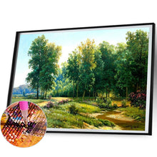 Load image into Gallery viewer, Grove 55X45CM(Canvas) Full Square Drill Diamond Painting
