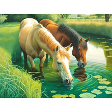 Load image into Gallery viewer, Drinking Water For Horses 40*30CM(Canvas) Full Round Drill Diamond Painting

