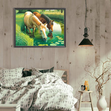 Load image into Gallery viewer, Drinking Water For Horses 40*30CM(Canvas) Full Round Drill Diamond Painting
