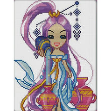 Load image into Gallery viewer, Joy Sunday Twelve Zodiac Signs: Aquarius (22*29CM) 14CT Stamped Cross Stitch
