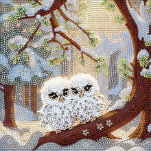 Load image into Gallery viewer, White Owl 30X30CM(Canvas) Full Partial Special Shaped Drill Diamond Painting

