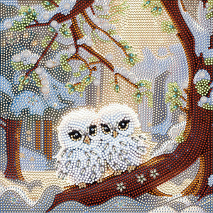 White Owl 30X30CM(Canvas) Full Partial Special Shaped Drill Diamond Painting