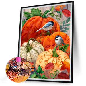 Pumpkin Bird 30X40CM(Canvas) Full Round Drill Diamond Painting