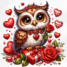 Load image into Gallery viewer, Valentine Love Owl 30X30CM(Canvas) Full Round Drill Diamond Painting
