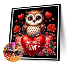 Load image into Gallery viewer, Valentine Love Owl 30X30CM(Canvas) Full Round Drill Diamond Painting
