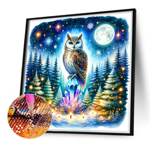 Owl 40X40CM(Canvas) Full Round Drill Diamond Painting