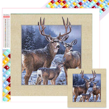 Load image into Gallery viewer, Deer In Snow 50*50CM(Picture) Full Square Drill Diamond Painting

