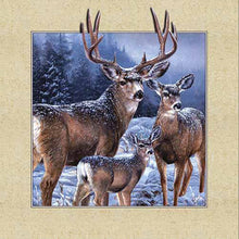 Load image into Gallery viewer, Deer In Snow 50*50CM(Picture) Full Square Drill Diamond Painting
