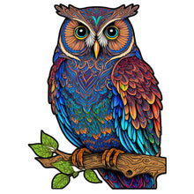 Load image into Gallery viewer, Colorful Owl (30*40CM) 18CT Stamped Cross Stitch
