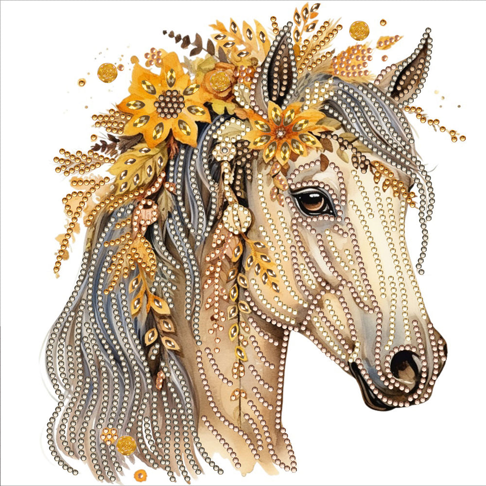 Long Hair Horse 30*30CM(Canvas) Partial Special Shaped Drill Diamond Painting