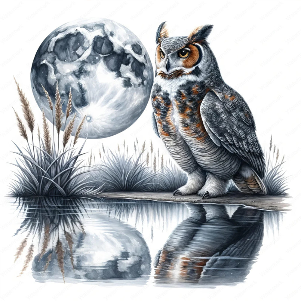Owl 30*30CM(Canvas) Full Round Drill Diamond Painting