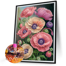 Load image into Gallery viewer, Poppy Flower 30*40CM(Canvas) Partial Special Shaped Drill Diamond Painting
