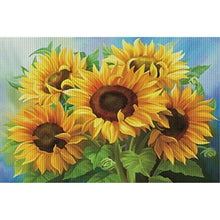 Load image into Gallery viewer, Sunflower - 60*40CM 14CT Counted Cross Stitch
