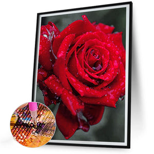 Bloom Rose 30*40CM(Canvas) Full Round Drill Diamond Painting