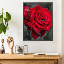 Load image into Gallery viewer, Bloom Rose 30*40CM(Canvas) Full Round Drill Diamond Painting
