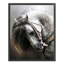 Load image into Gallery viewer, Horse - 36*46CM 11CT Counted Cross Stitch
