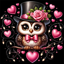 Load image into Gallery viewer, Love Owl - 40*40CM 11CT Stamped Cross Stitch
