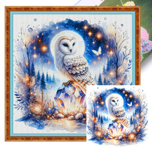 Load image into Gallery viewer, Owl At Night - 40*40CM 11CT Stamped Cross Stitch
