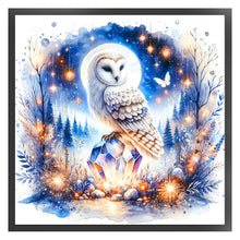 Load image into Gallery viewer, Owl At Night - 40*40CM 11CT Stamped Cross Stitch
